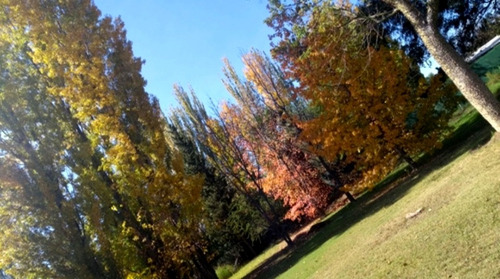 Imagen 10 de 13 de Alquiler Temporal Casa Quinta Cabaña C Pileta Maipú Mendoza