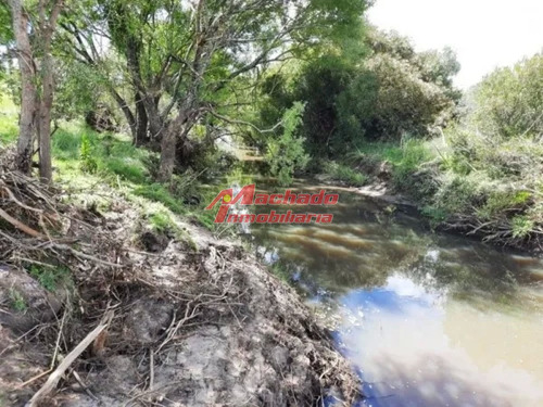 Imagen 2 de 15 de Venta De Chacra De 5 Hectareas En Paraje Las Cañas