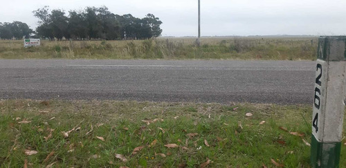 Venta Campo Chacra Rocha Cabo Polonio 20 Hectáreas Ruta 10