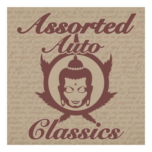 Buddha Assorted Auto Classics X10 Buddha Seeds