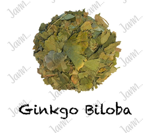 Ginkgo Biloba Planta Medicinal 100g.