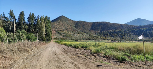 Imagen 3 de 10 de Parcelas 5.000 M2, En Isla De Maipo