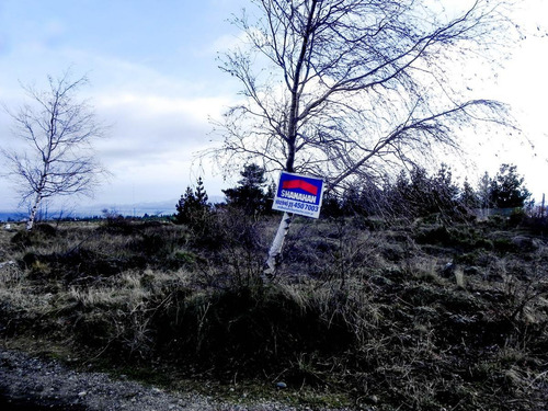 Imagen 9 de 9 de Terreno - Las Victorias