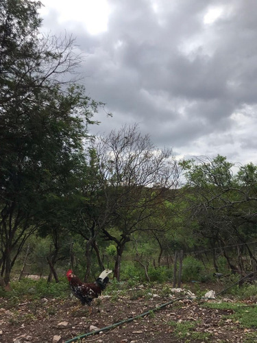 Imagen 16 de 30 de Vendo Campo De 2, 5 Hectareas Entre Unquillo Y Cabana