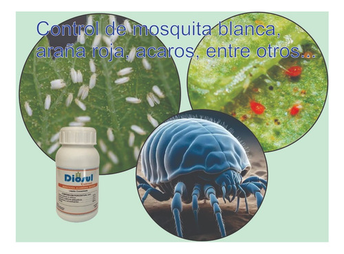 Insecticida, Ovicida. Control De Insectos De Cuerpo Blando