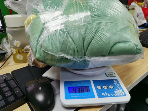 Lindo Juguete De Peluche De Anime Con Dinosaurio Blando