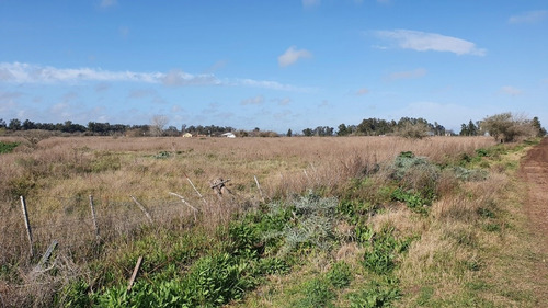 Imagen 4 de 5 de Campo En Venta, Camino 12 De Octubre, Brandsen