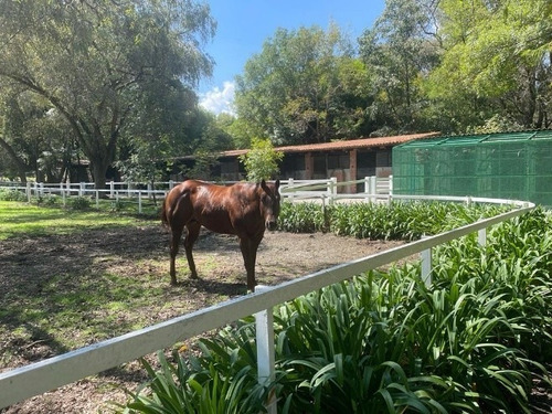Rancho Privilegiado Con 2 Pozos Y Bella Ecología. 10 Caballerizas, Potreros, Lago, Invernaderos, Cancha De Frontón, Instalaciones Diversas Para Animales. Y Casa Campestre Con 3 Recámaras.