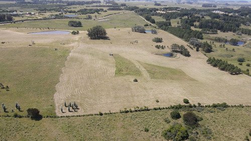 Imagen 24 de 30 de Chacra En Venta, Fraccion De 20 Has En Jose Ignacio (ref: Atm-6766)