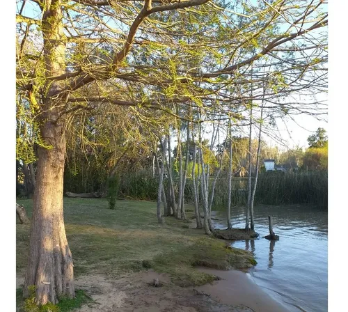 comprar Cabaña El Bubu Ubicada En Rio Capitan Al 1000 A Metros Del Prana De Las Palmas Con Playita Privada Predio Parquizado Unico No Se Comparte 300mts2 Para 6 U 8 Personas Cuenta Con 2 Dormitorios Con Aire 