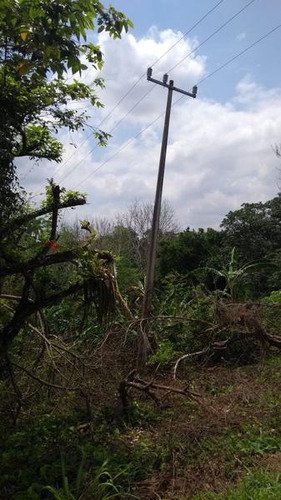 Venta Terreno 2000 M² Col. Tierra Blanca Tuxpan Veracruz.