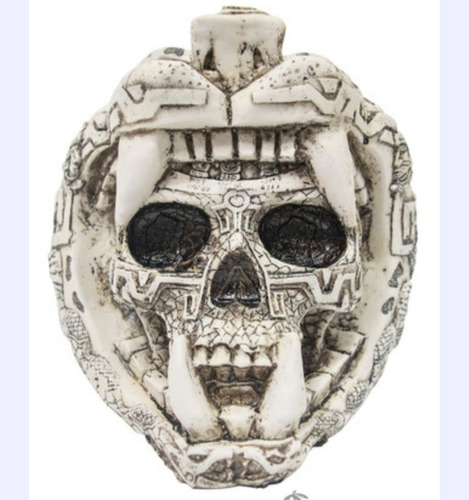 Guerrero Jaguar Cabeza Con Símbolos Azteca