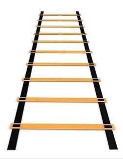 Imagen 2 de 4 de Escalera Grande Coordinacion Fitness Gym 10 Escalones