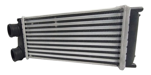 Imagen 2 de 8 de Intercooler Peugeot 307 04-13
