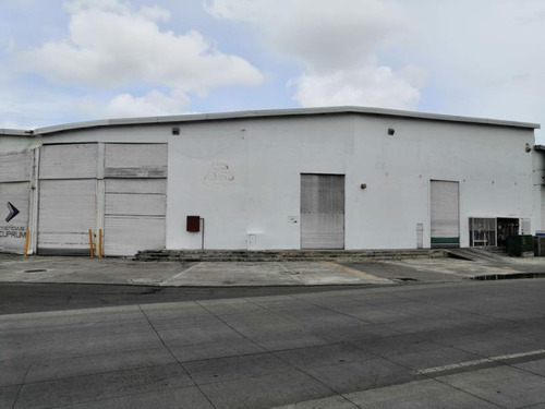 Bodega Industrial En Renta Flores Del Valle