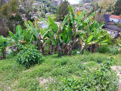Imagen 21 de 21 de Terrenos En Venta San Antonio De Los Altos Urb San Gabriel
