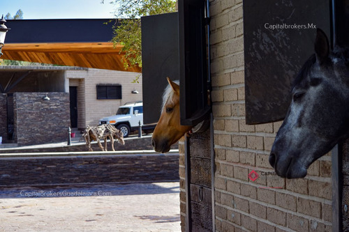 Rancho De Lujo Con Picadero Y Salon De Eventos En El Sur De Zm Guadalajara