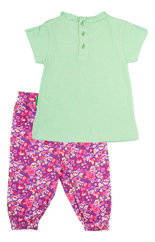 Conjunto Oasis Verde Ficcus