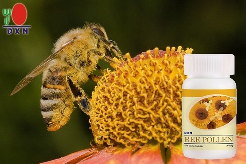 Bee Pollen Dxn - 1 Bote - Polen Centificado 120tabletas