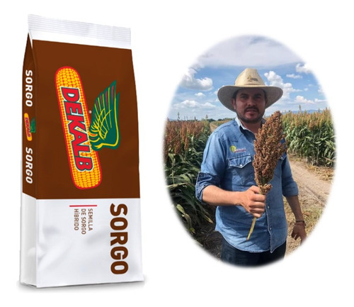 Semilla Sorgo Amargo Antipajaro Dekalb Brs-72 1 Bulto