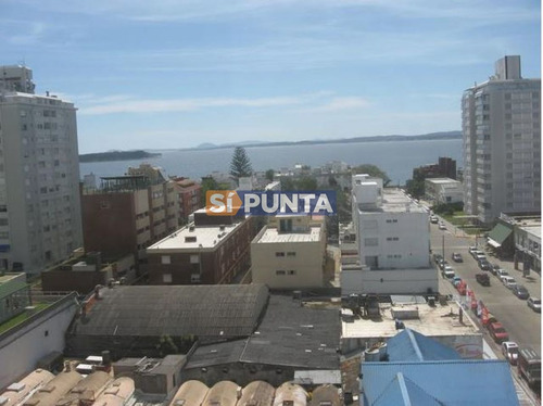 Imagen 5 de 5 de Peninsula Apartamento En Alquiler
