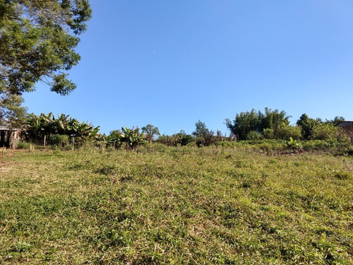 Chácara 20.000 M² - Lomba Grande - Novo Hamburgo - Rs - 1819 - 32578114