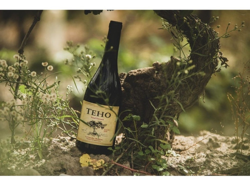 Imagen 3 de 10 de Vino Teho Malbec Caja X 6 X 750ml.