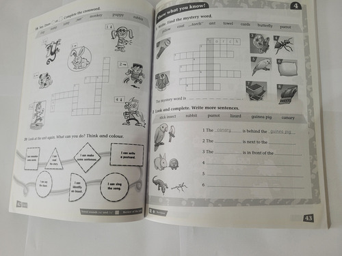Incredible English 3 Activity - Phillips Sarah / Morga Vitri