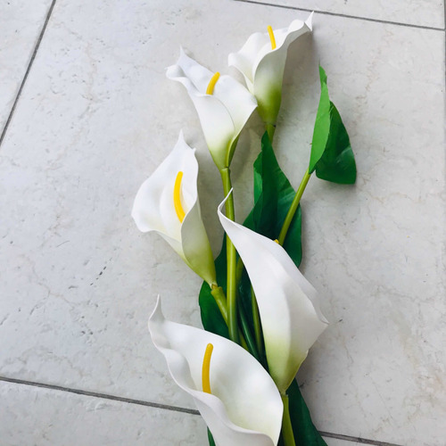 Ramo 5 Cartuchos Blancos Artificiales Flores Decorativas Mnr | Cuotas sin  interés