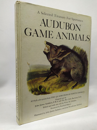 Audubon Game Animals