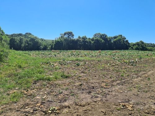 Imagem 7 de 14 de Terreno