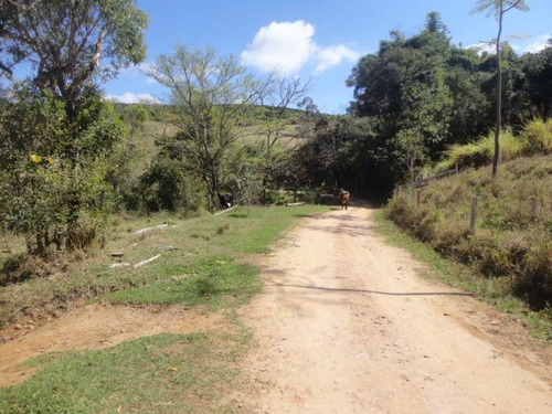 Imagem 8 de 30 de Fazenda De Café Em Monte Sião-mg - 7676