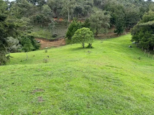 Lote En Venta En Puente Pelaez. Cod V12340