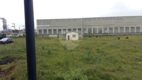 Imagem 6 de 20 de Terreno De 8.500 Metros Quadrados, Junto Ao Aeroporto De Cumbica - Guarulhos - Sp, - Reo305915