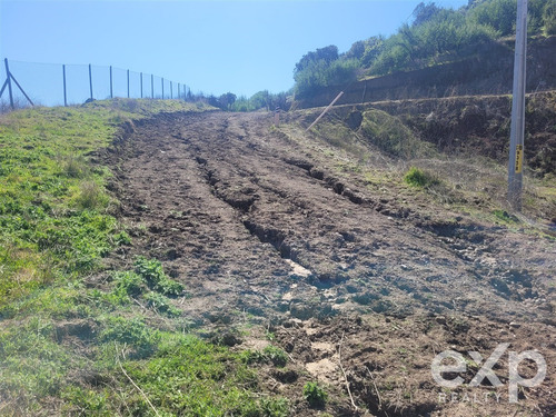 Venta De Parcela, Camino A Zapallar Curicó, 6.142 M2