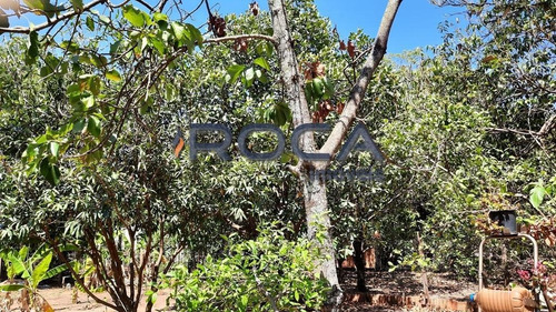 Venda De Rural / Chácara Na Cidade De São Carlos 26498