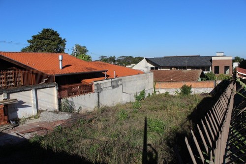 Imagem 3 de 14 de Terreno Para Alugar - 00394.002