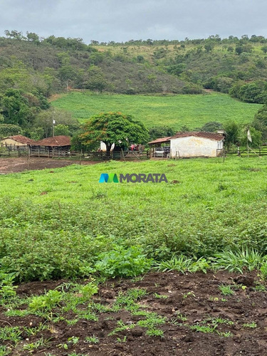 Imagem 15 de 15 de Fazenda - Zona Rural - Ref: 5534 - V-mta5534
