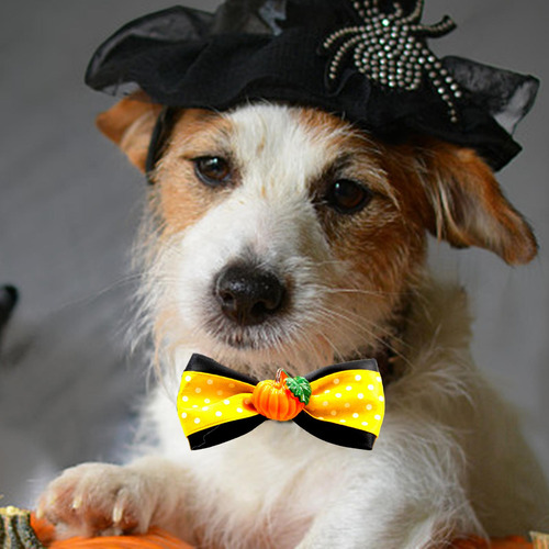 2 Collar De Gato, Collar De Otoño, Halloween, Estilo G