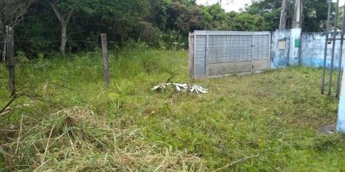 Imagem 5 de 14 de Casa Em Itanhaém Lado Serra 300 Metros Da Rodovia 6 Vagas.