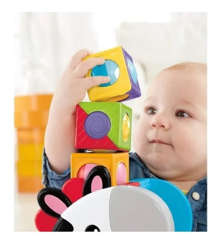 Brinquedo De Encaixar Zebra Blocos Surpresa Fisher Price Cgn