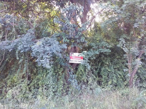 Imagen 3 de 6 de Lote 700 M2 En Cabana, Sobre Av. 5 De Octubre.
