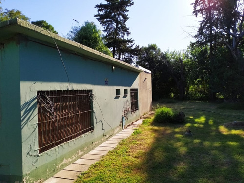 Imagen 14 de 14 de Vendo Excelente Quinta/casa De Campo En Junín.