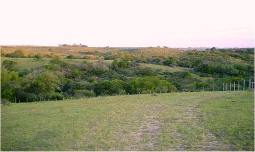 Quinta En Venta De 3 Dormitorios En Jose Ignacio