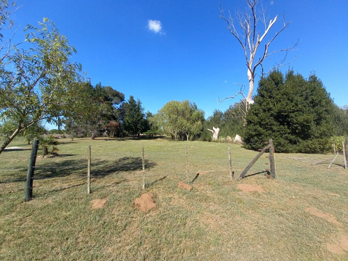 Imagen 2 de 11 de Lote Con Vivienda En Paraje Pavon (210)