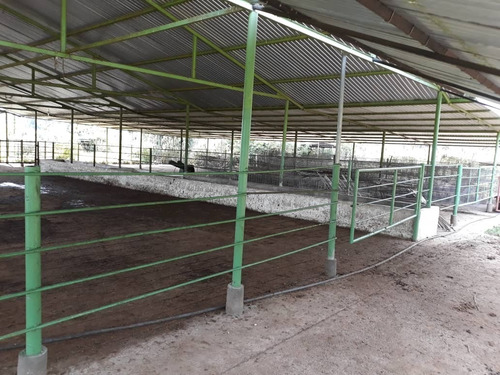 Imagen 23 de 27 de Finca En Venta En La Raya San Timoteo, Zulia