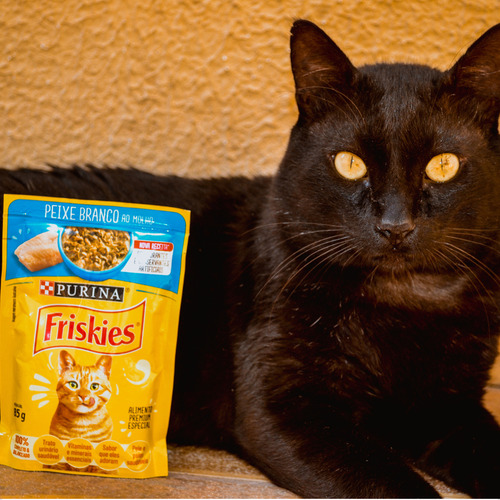 Kit 30 Friskies Sachês 2 Sabores - Atum E Peixe Branco