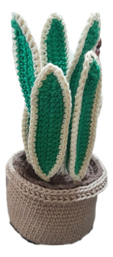 Maceta Tejida A Crochet Sanseveria Lengua Suegra Eterna