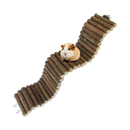 Puentes Colgantes Largos Ratas, TĂșnel Flexible Cobayas...