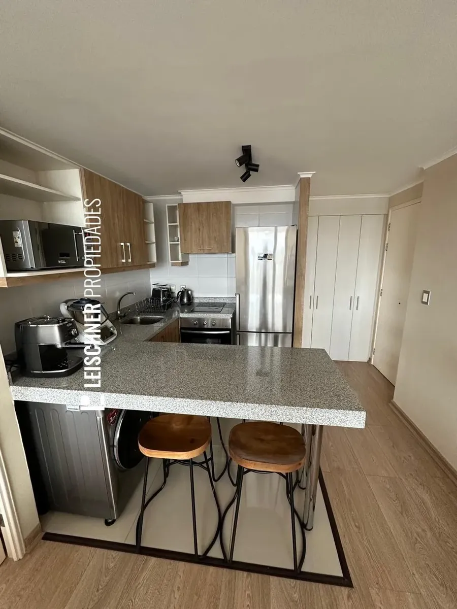 Imagen 3 de 10 de Venta Depto Amoblado Con Vista Privilegiada Osorno